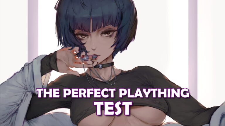 Perfect Plaything Training – Test